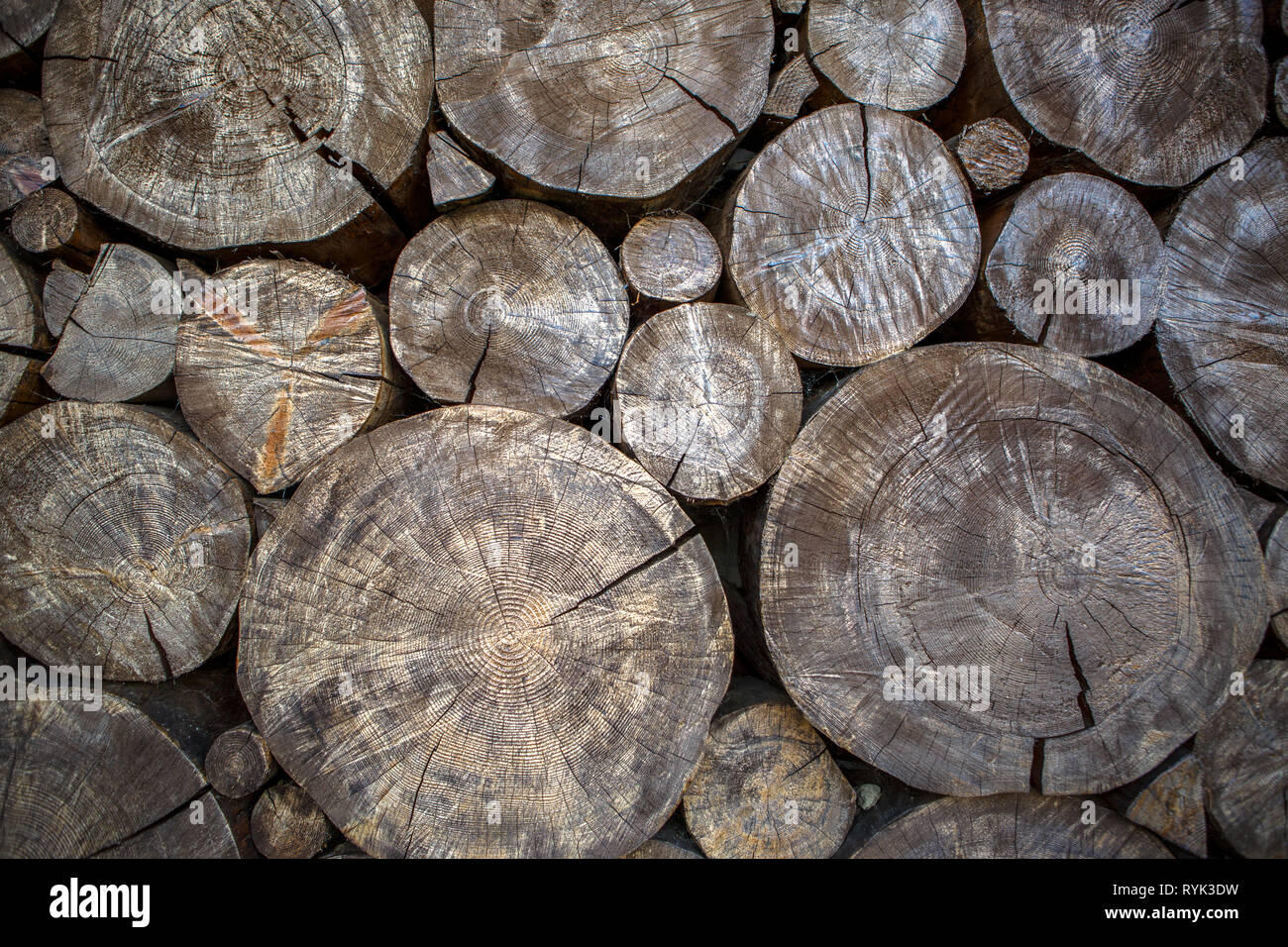 Wooden background from sections of tree trunk Stock Photo - Alamy