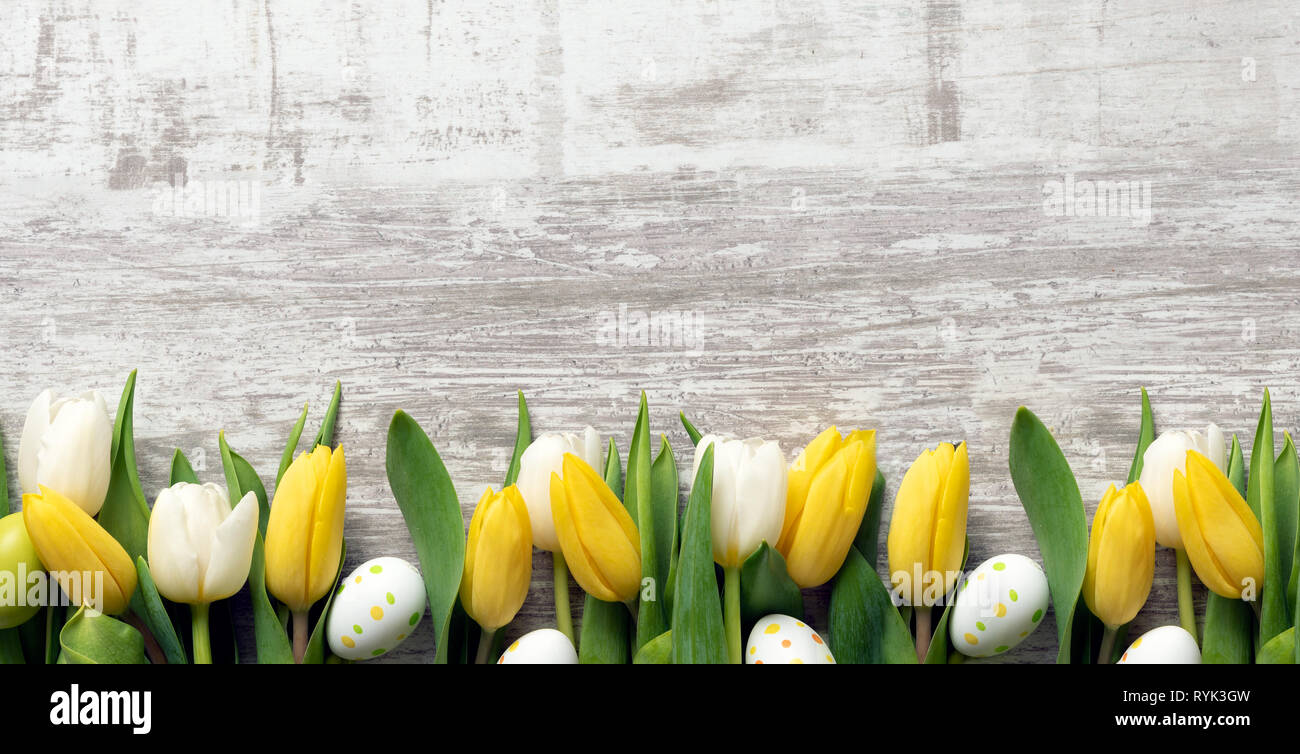 Easter eggs and spring flowers background. Top view with copy space ...