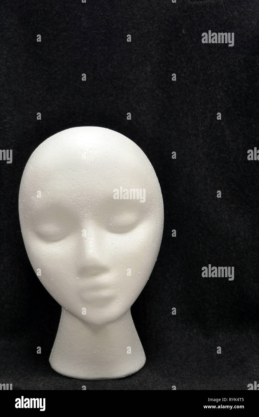 thumbnail image 2 of SONGBIRDTH Styrofoam Head,Model Head Durable Safe Display... 2 of 9