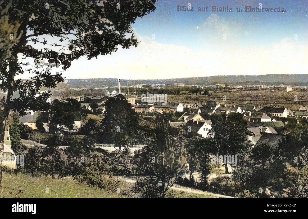 Picture of Biehla
