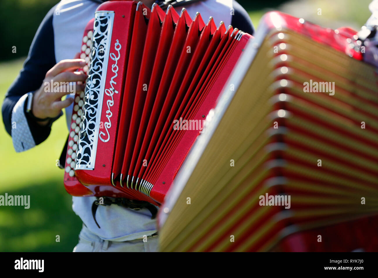 Accordion High Resolution Stock Photography and Images Alamy