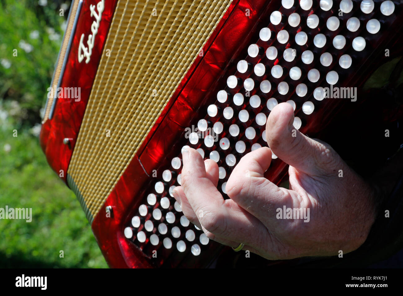 Accordion folk band. France Stock Photo Alamy
