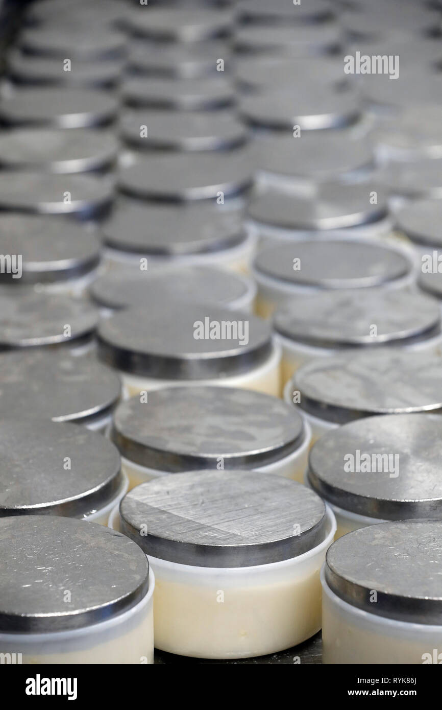 Traditional cheese factory. Reblochon, French Cheese from Savoie