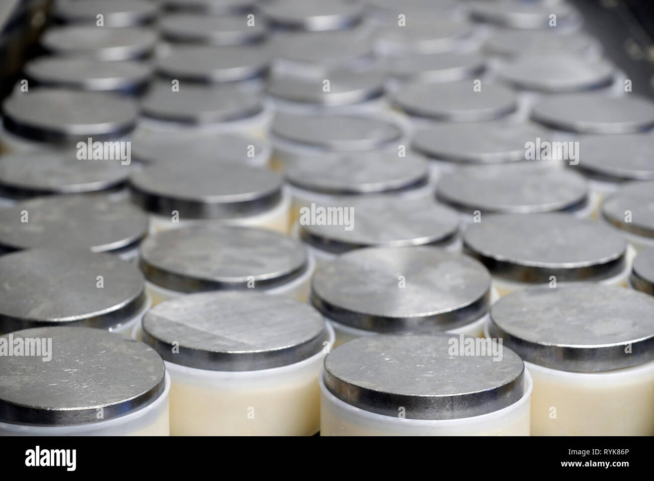 Traditional cheese factory. Reblochon, French Cheese from Savoie