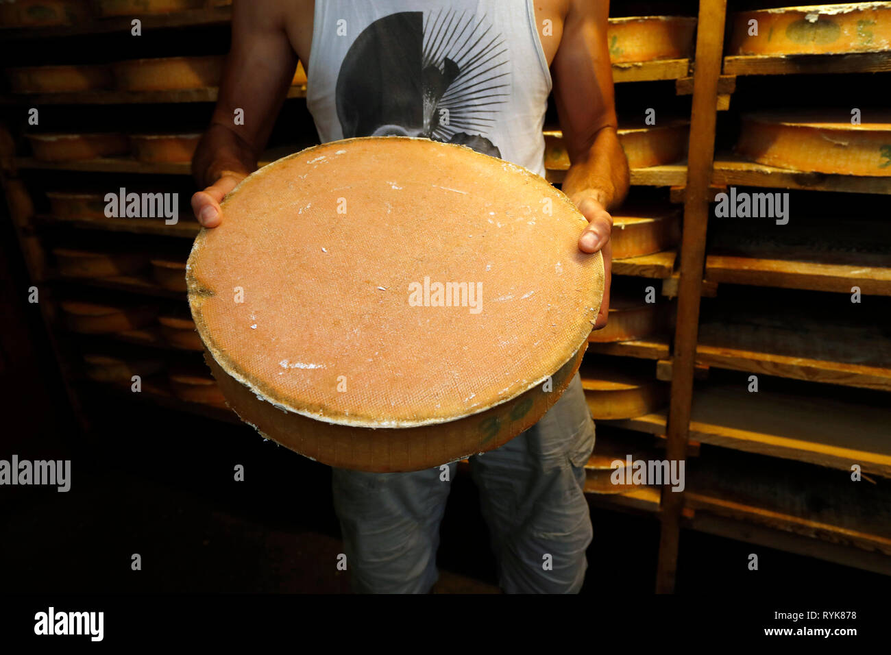 French Alps. Traditional cheese factory. Farm made Abondance cheese