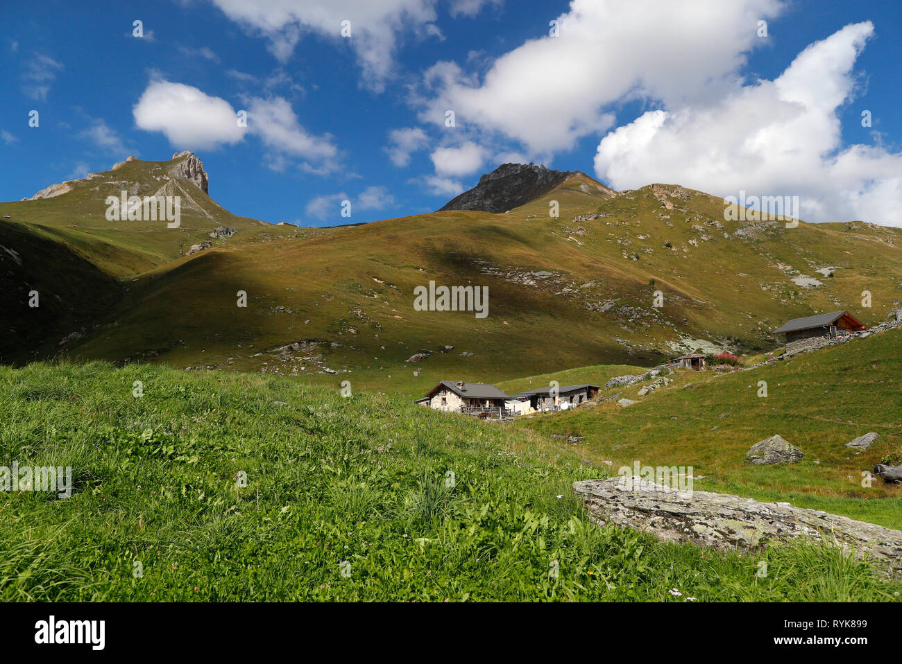 French Alps. Artisanal Beaufort cheese factory on high pastures.  Peisey Nancroix. France. Stock Photo