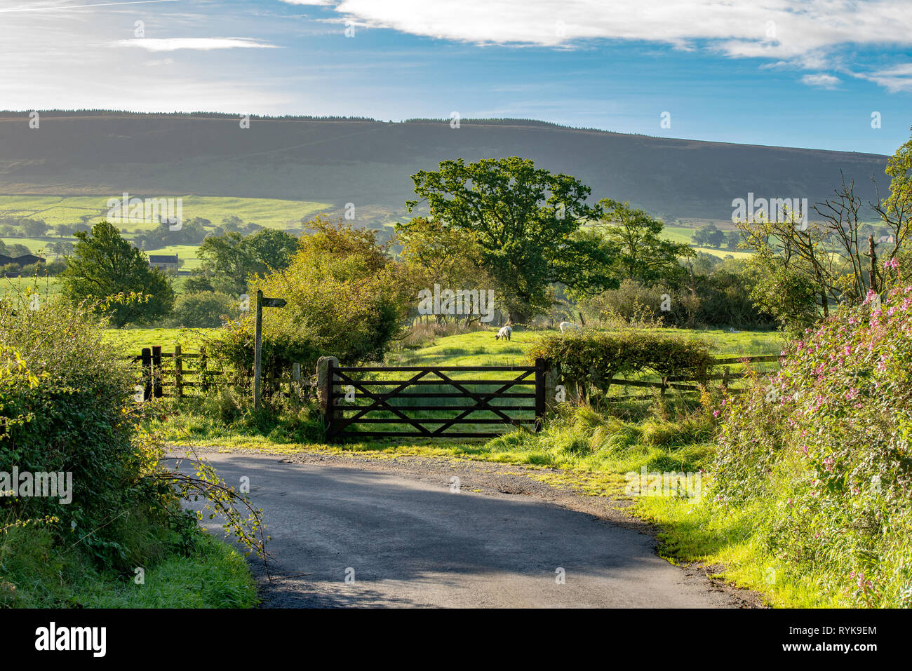 A view of Longridge Fell, Longridge, Preston, Lancashire. Stock Photo