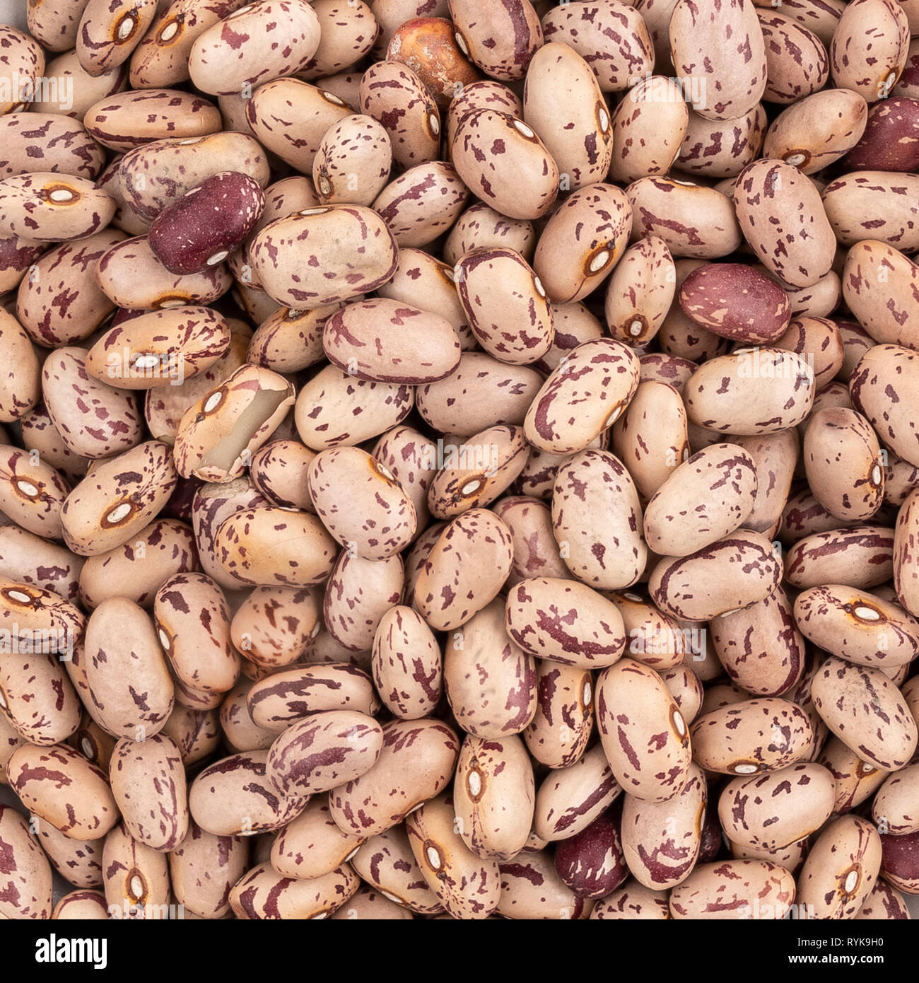 Red kidney beans pinto hires stock photography and images Alamy