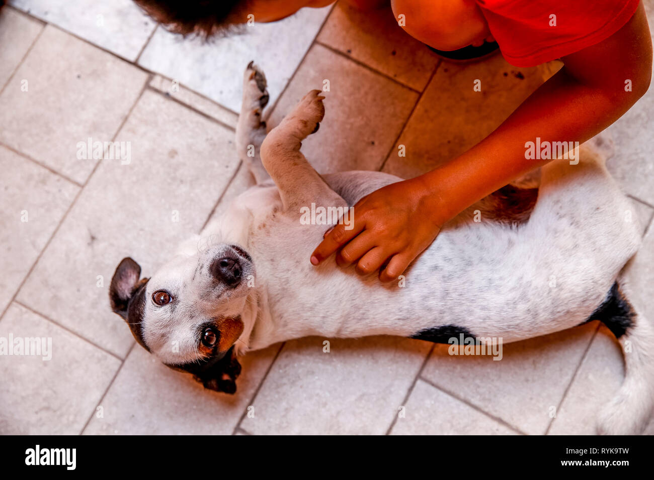 12-year-old boy stroking a dog in Catania, Sicily (Italy). Stock Photo