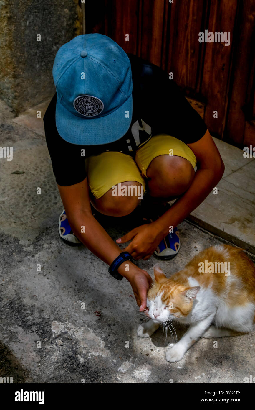 12-year-old boy stroking a cat in Caltagirone, Sicily (Italy). Stock Photo