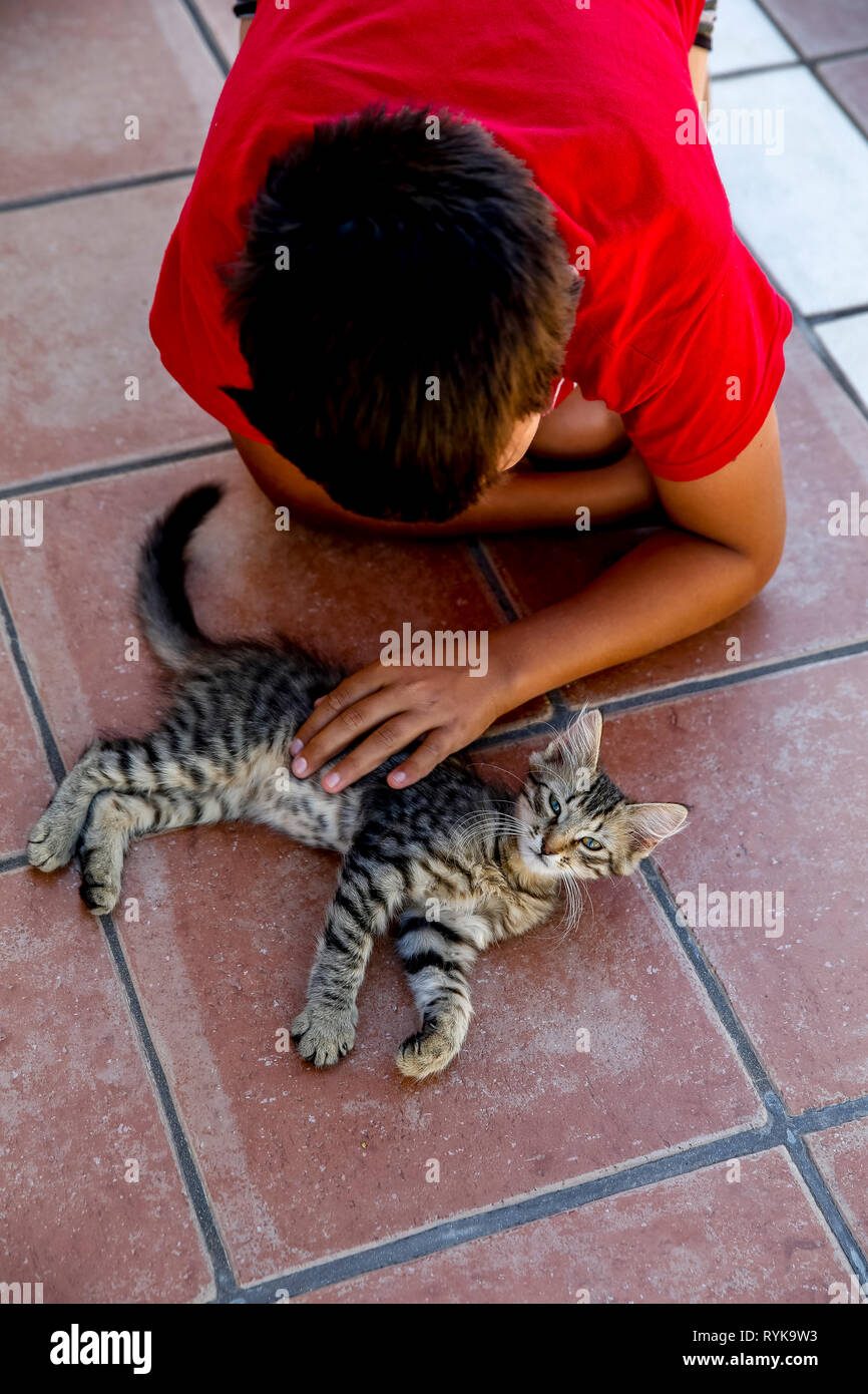 12-year-old boy stroking a cat in Noto, Sicily (Italy). Stock Photo