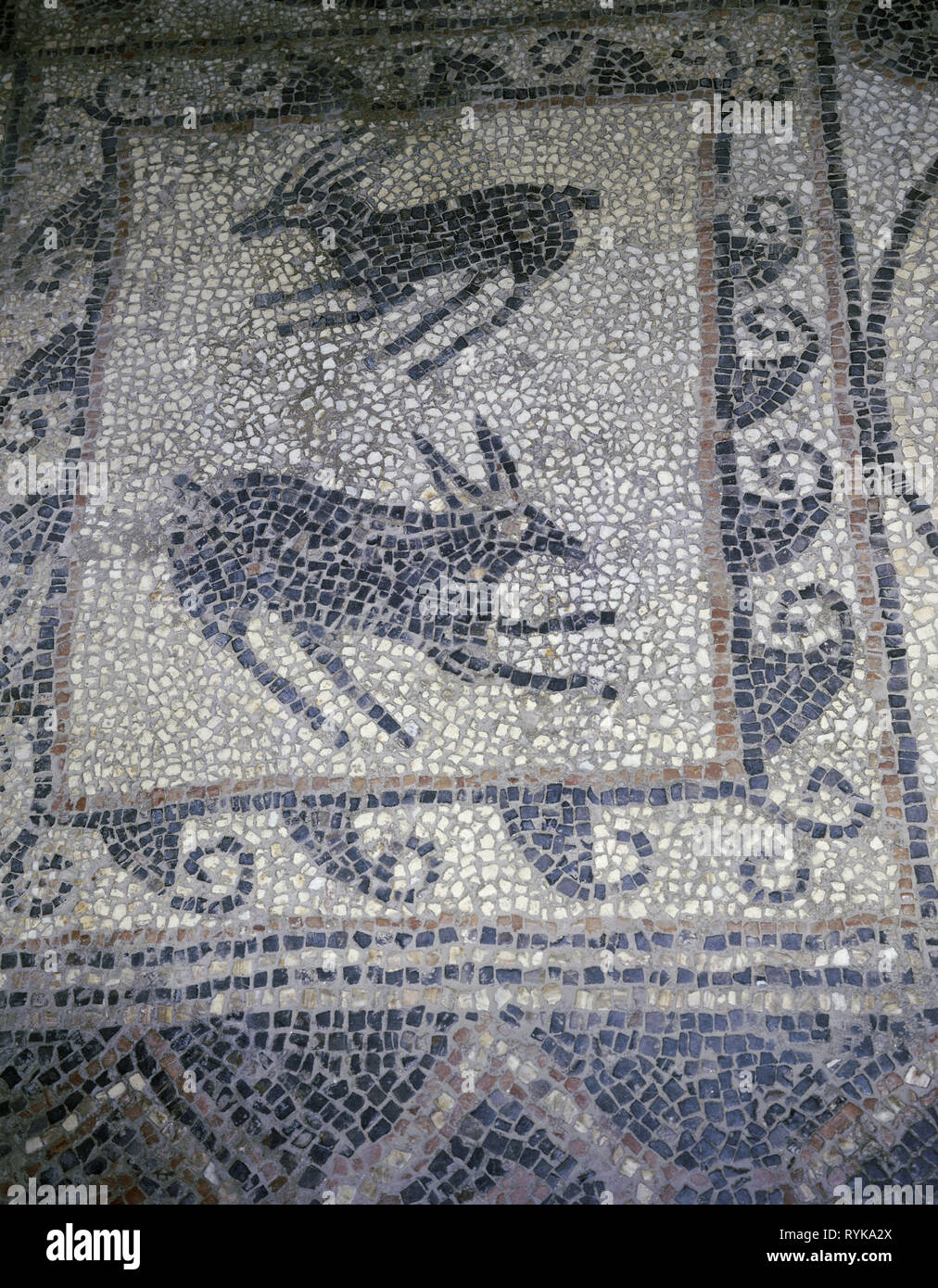 Ancient Roman Mosaic Floor High Resolution Stock Photography and Images ... image.