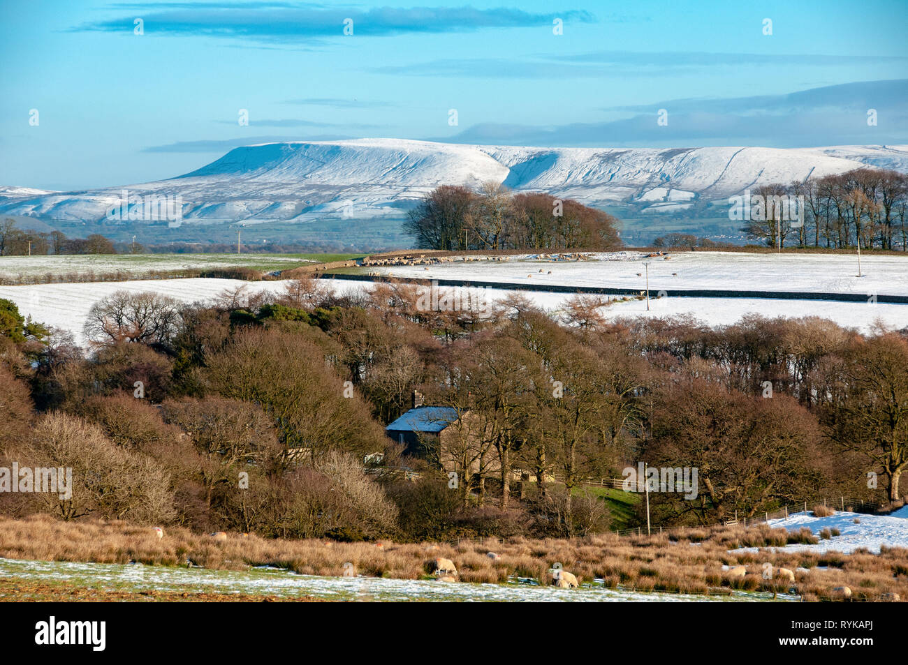 View towards Pendle Hill from Chipping, Preston, Lancashire on a winter's day. Stock Photo