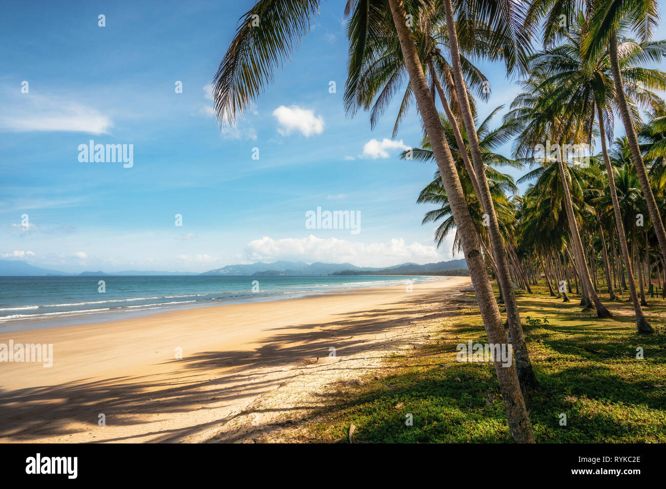 Secluded Long Beach at San Vincente with palm trees, Palawan, Philippines Stock Photo