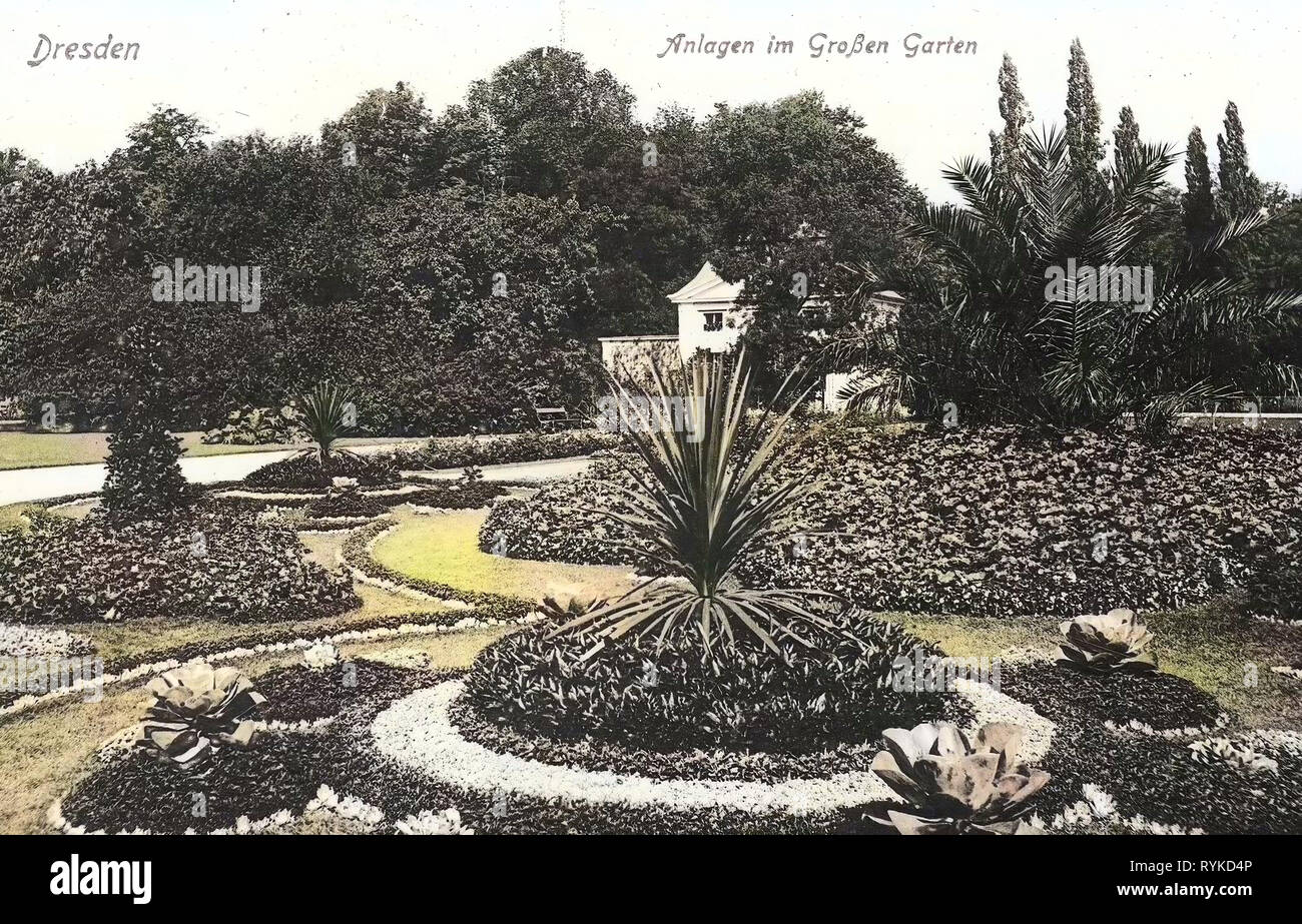 Großer Garten, Dresden, Arecaceae in Germany, 1915, Anlagen im Großen Garten Stock Photo