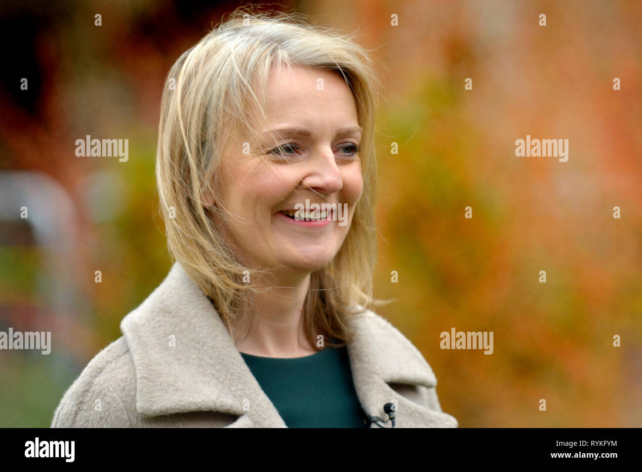 Liz Truss MP (Con; Chief Secretary to the Treasury) on College Green, Westminster, to discuss Philip Hammond's Spring Statement, 13 March 2019 Stock Photo