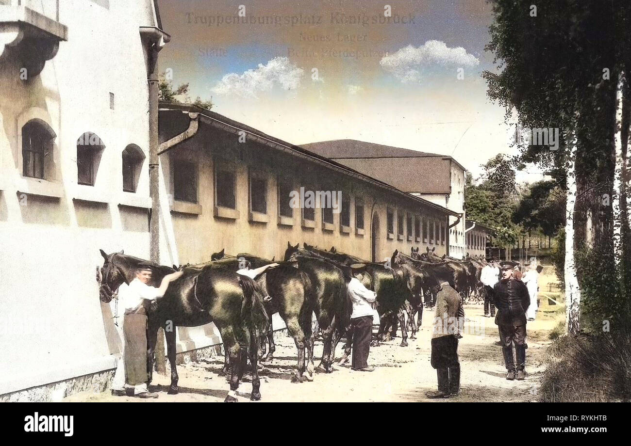 Military use of horses, Military training grounds of Germany, Buildings in Königsbrück, 1915, Landkreis Bautzen, Königsbrück, Neues Lager, Beim Pferdeputzen Stock Photo