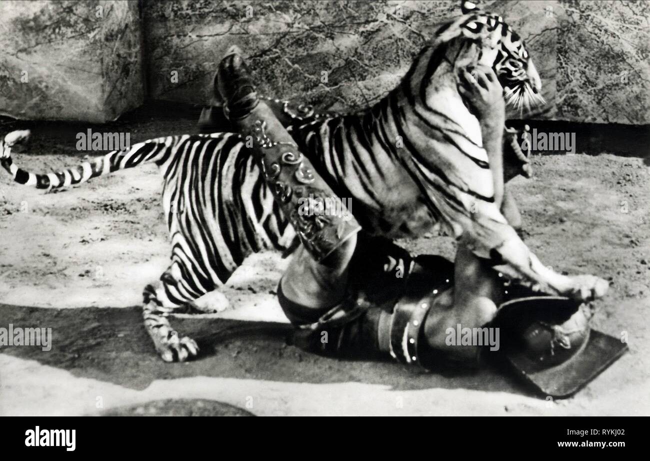 TIGER IN FIGHT, DEMETRIUS AND THE GLADIATORS, 1954 Stock Photo