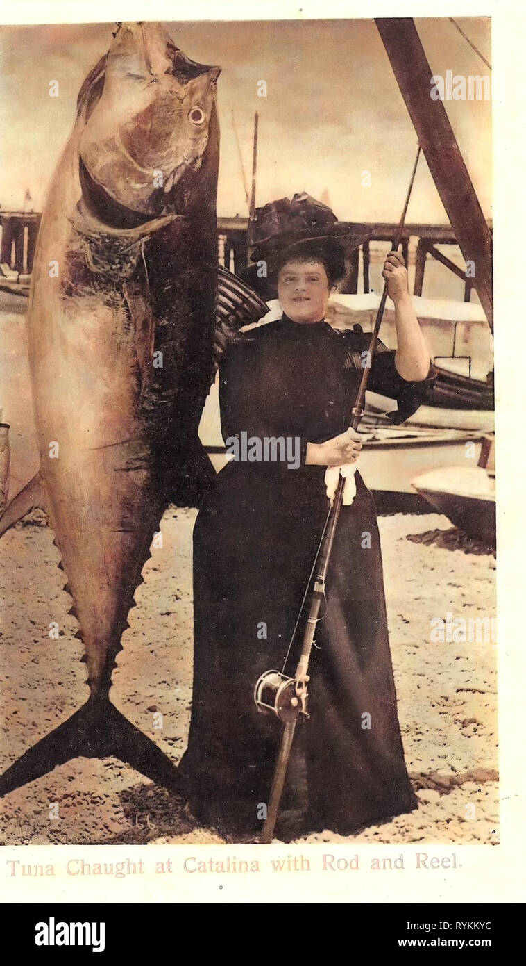 https://c8.alamy.com/comp/RYKKYC/tuna-fishing-sea-anglers-with-fish-in-the-united-states-female-fishermen-thunnus-orientalis-angling-in-california-fashion-in-1901-1901-in-california-santa-catalina-island-california-1903-catalina-tuna-chaught-at-catalina-with-rod-and-reel-RYKKYC.jpg