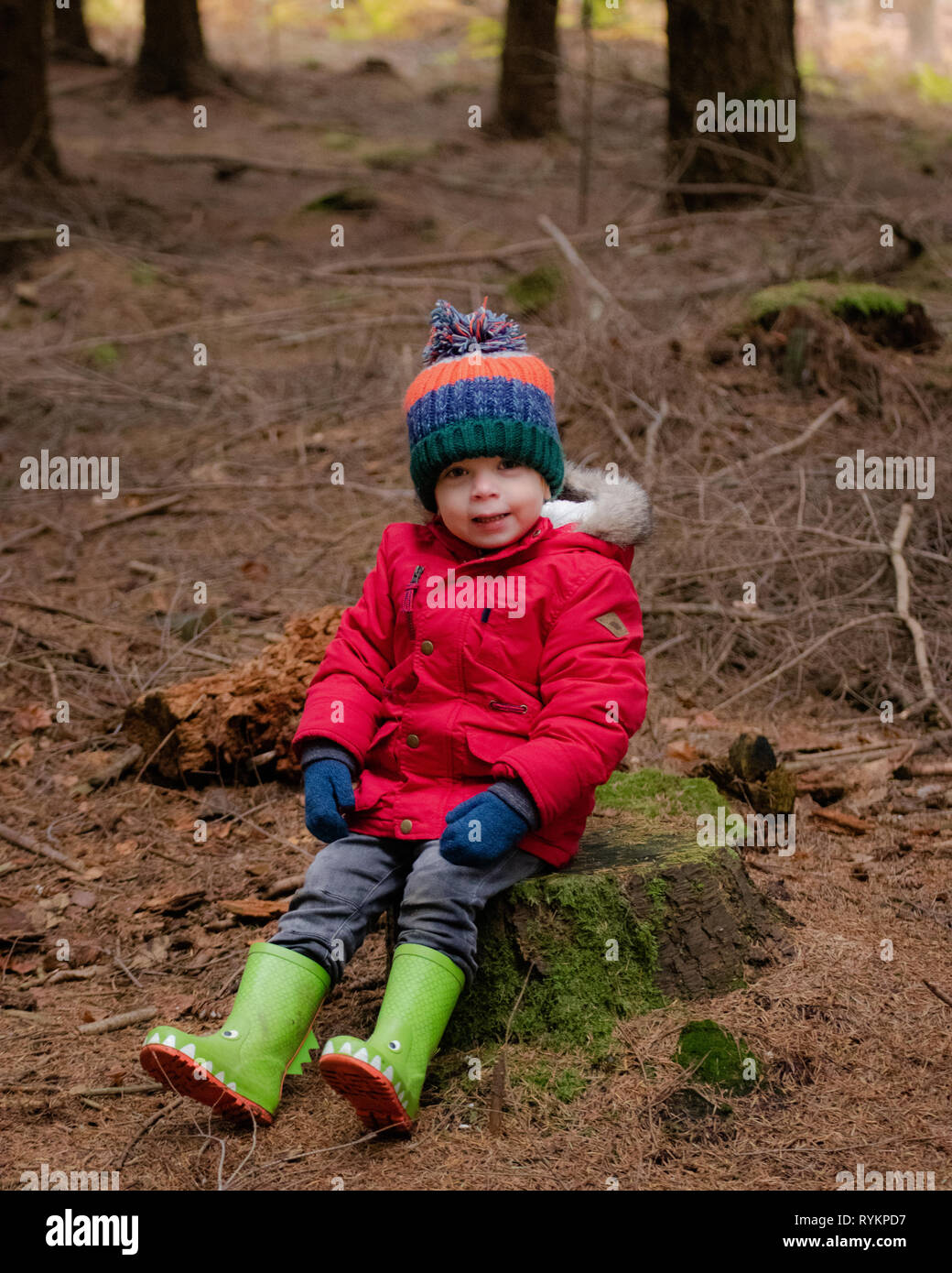 Two year old toddler sat on tree stump in the forest during autumn wearing a red coat, wellies and a bobble hat Stock Photo
