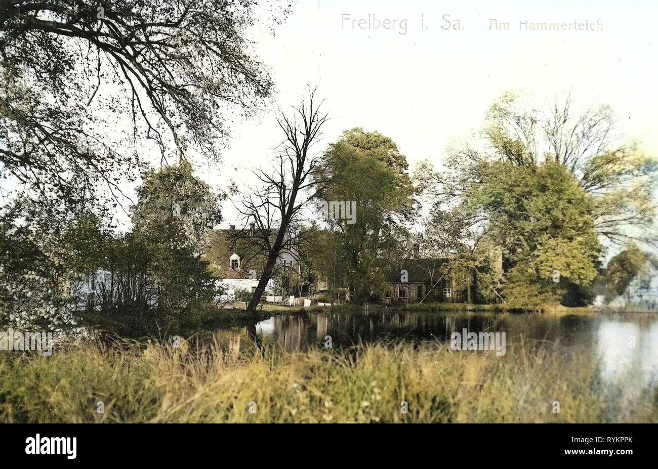 Ponds in Landkreis Mittelsachsen, Buildings in Freiberg (Sachsen), 1913, Landkreis Mittelsachsen, Freiberg, Am Hammerteich, Germany Stock Photo