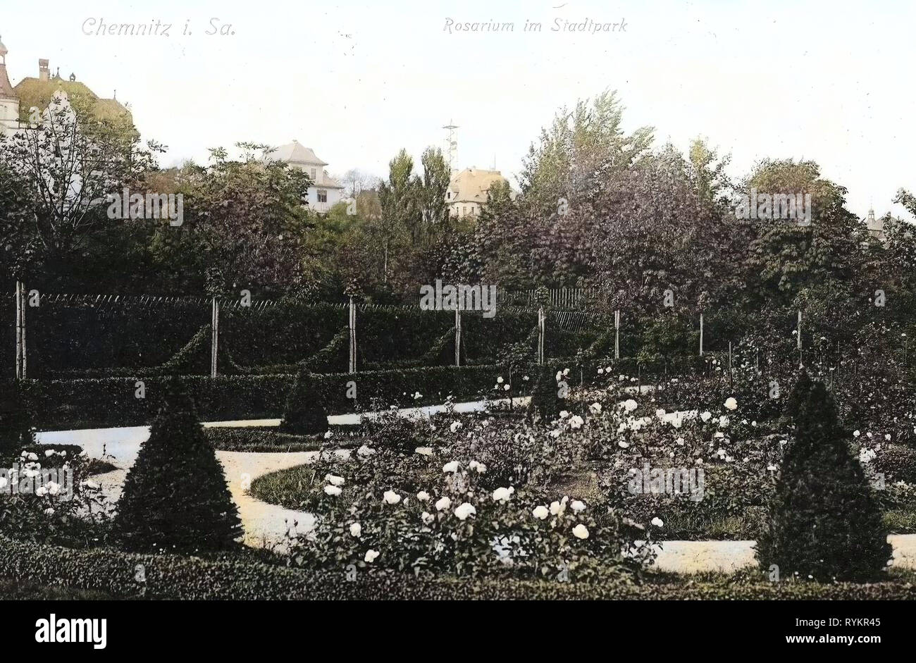 Parks in Saxony, Rose gardens in Germany, Chemnitz, 1913, Rosarium im  Stadtpark Stock Photo - Alamy