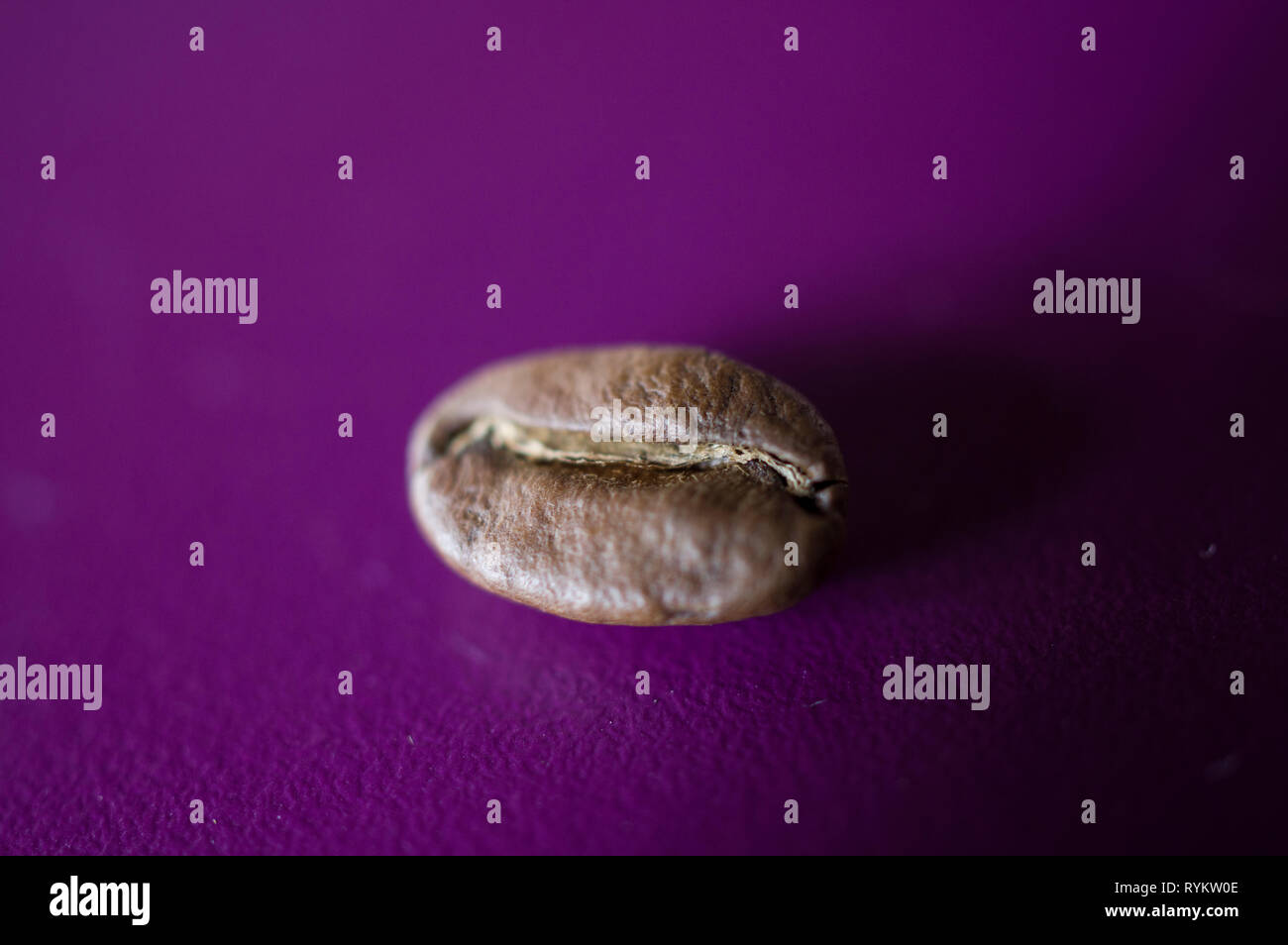 Close up macro photo of one single coffee bean against a single color background Stock Photo