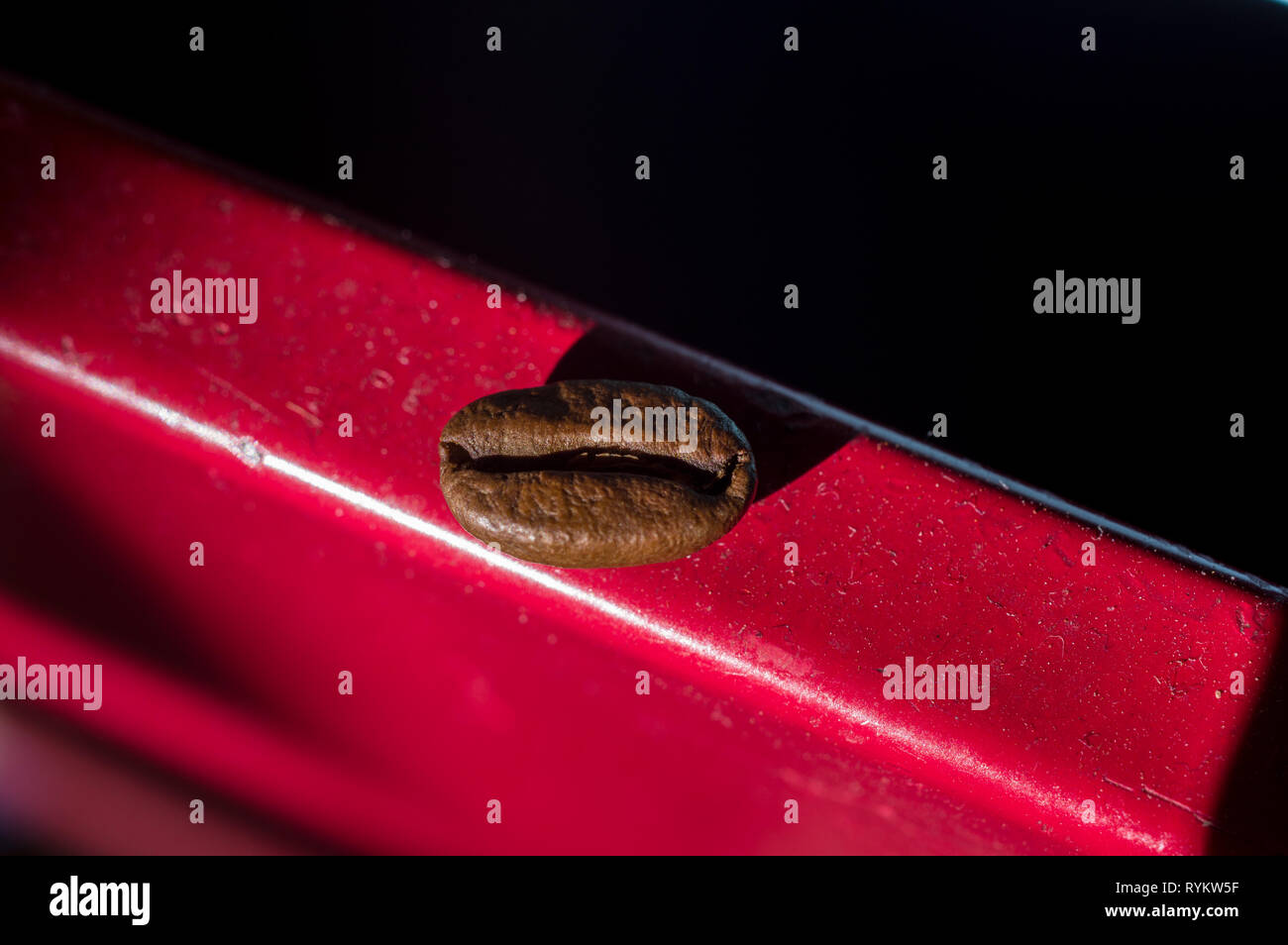 Close up macro photo of one single coffee bean against a single color background Stock Photo