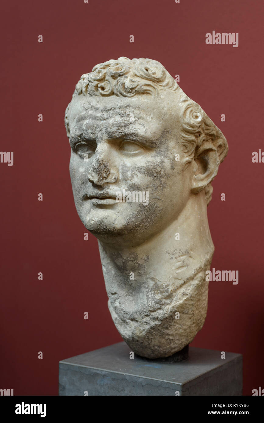 Copenhagen. Denmark. Portrait bust of Roman Emperor Titus, Ny Carlsberg Glyptotek.   Titus Flavius Caesar Vespasianus Augustus (39 AD - 81 AD) Reign;  Stock Photo