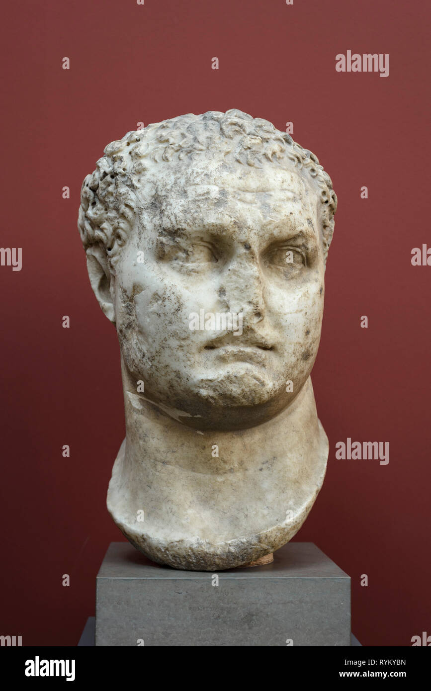 Copenhagen. Denmark. Portrait bust of Roman Emperor Titus, Ny Carlsberg Glyptotek.   Titus Flavius Caesar Vespasianus Augustus (39 AD - 81 AD) Reign;  Stock Photo