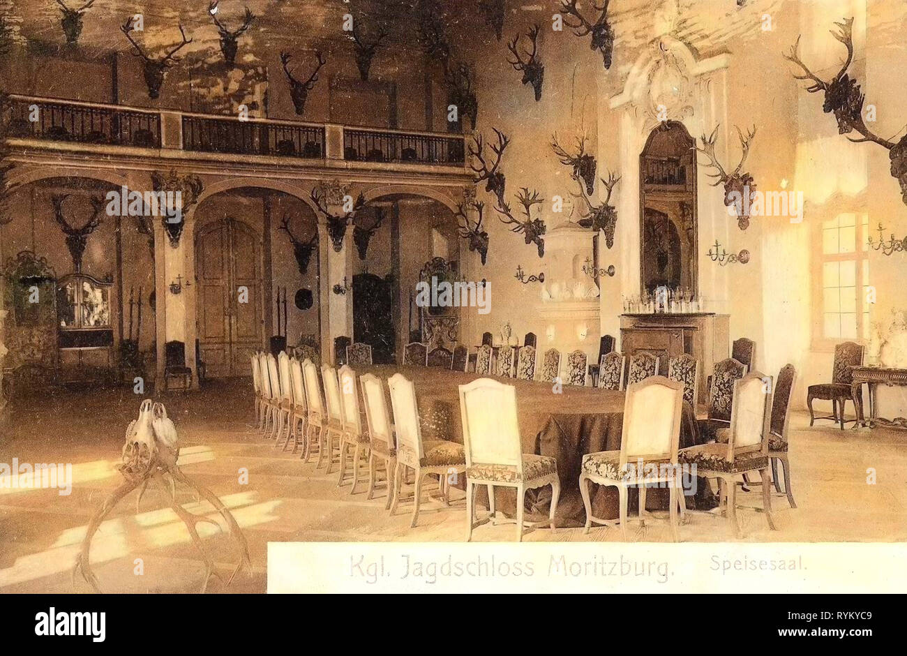 Dining rooms in Germany, Interior of Moritzburg Castle, Antlers, 1902