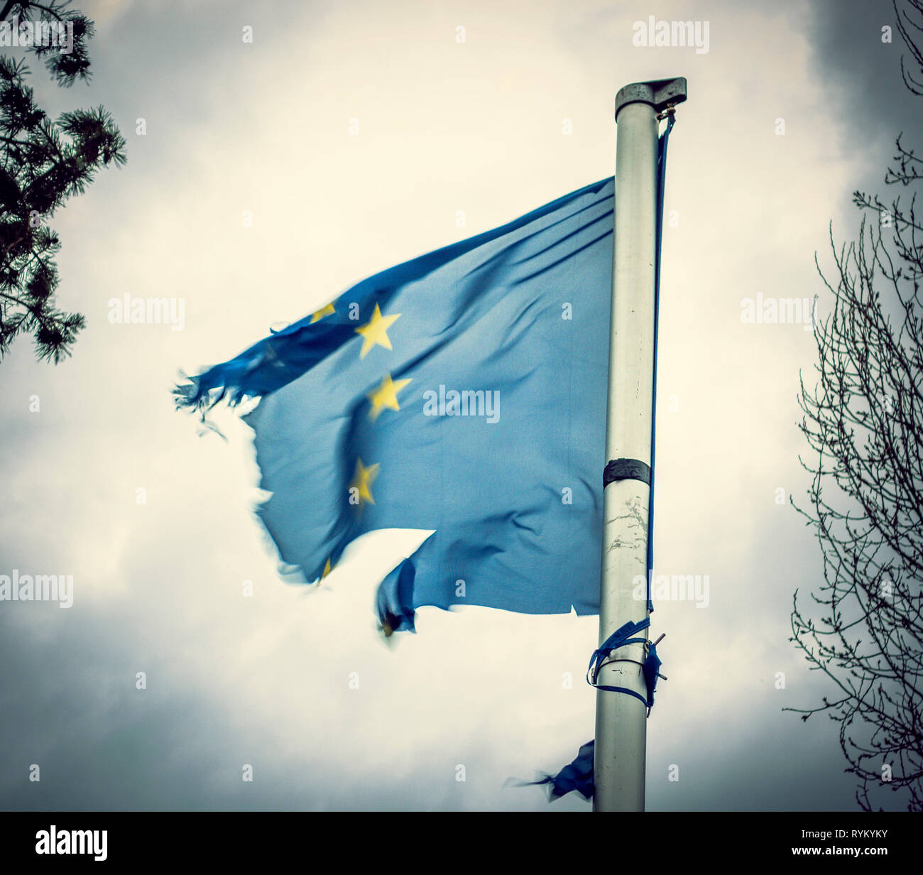 Torn European Flag Stock Photo