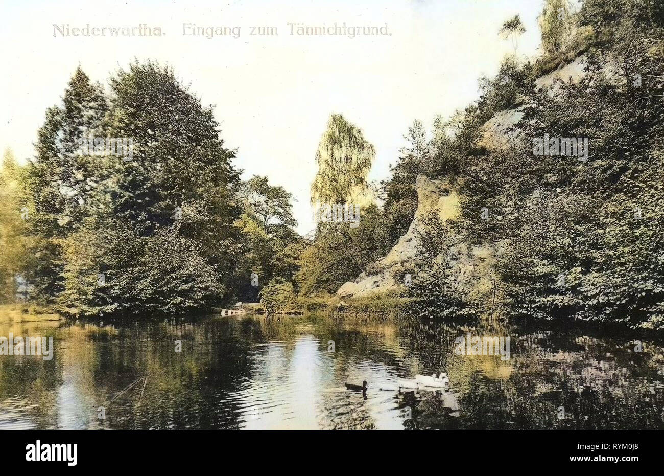 Tännichtgrund, 1906, Dresden, Niederwartha, Eingang zum Tännichtgrund, Germany Stock Photo