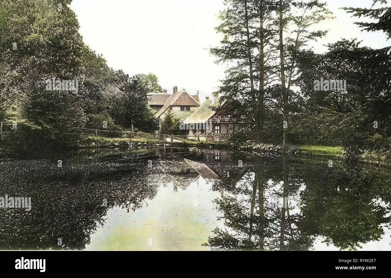 Ponds in Landkreis Harz, 1906, Saxony-Anhalt, Wernigerode, Christianental, Germany Stock Photo