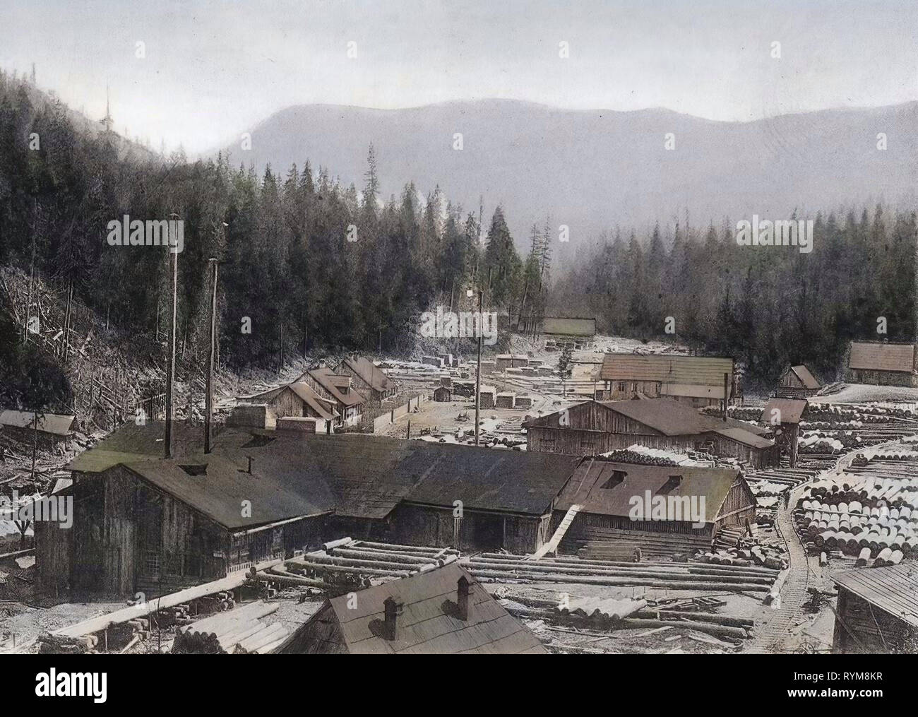 Cabins, Industry in Romania, Sawmills in Romania, Brateș, Covasna, 1903 postcards, Baratos, 1903, Arbeitshütten Stock Photo