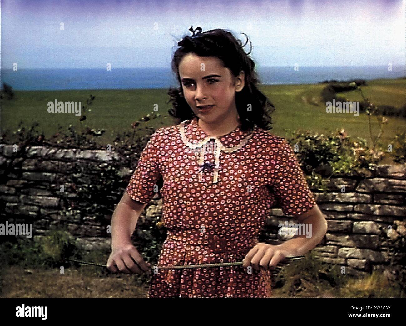 ELIZABETH TAYLOR, NATIONAL VELVET, 1944 Stock Photo - Alamy