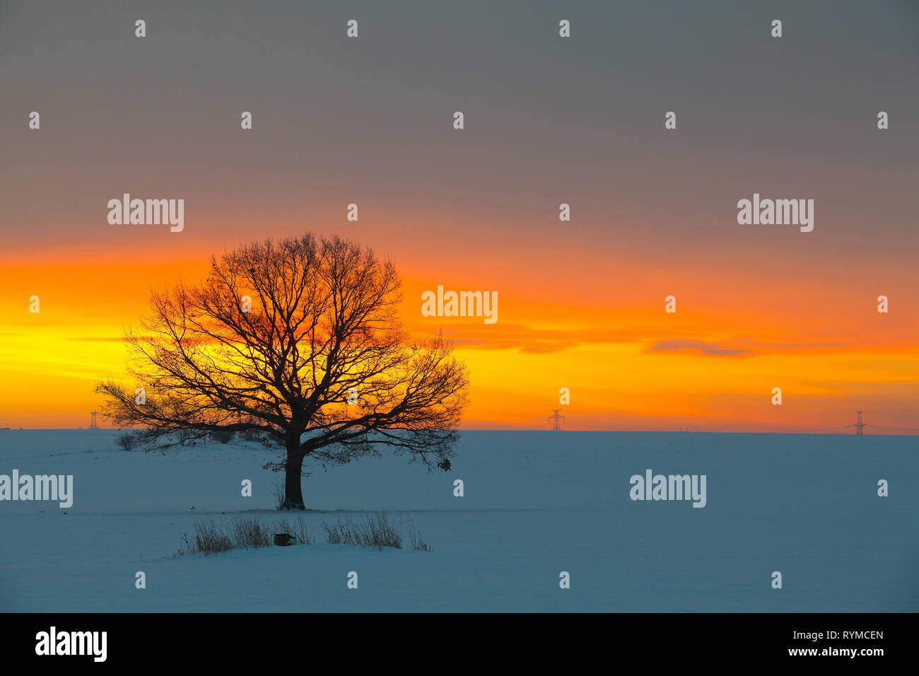 Lone oak tree sunrise in hi-res stock photography and images - Alamy