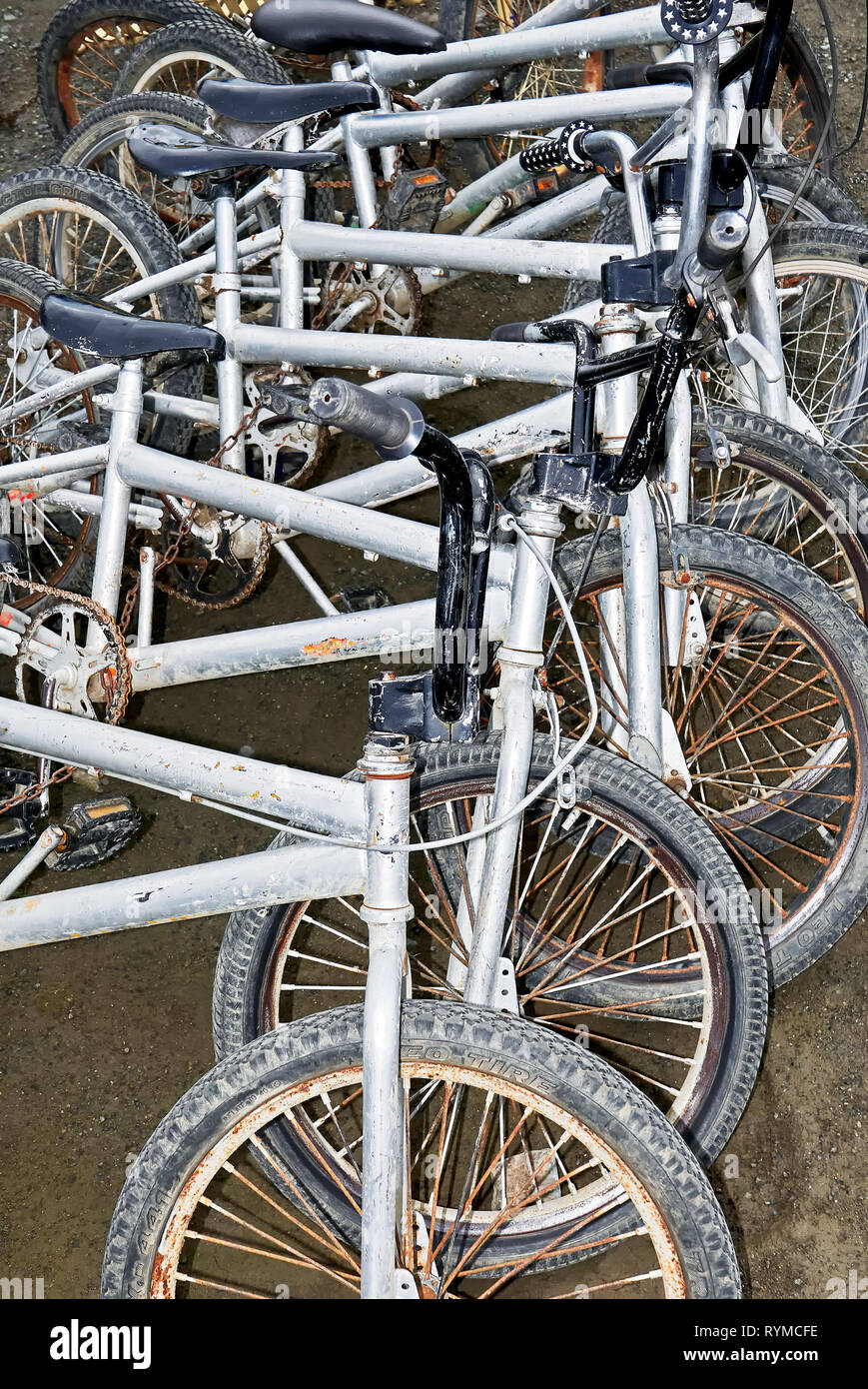 Close-up of a row of silver colored old rusty bicycles at an abandoned bike rental in Puerto Princesa City, Palawan, Philippines Stock Photo