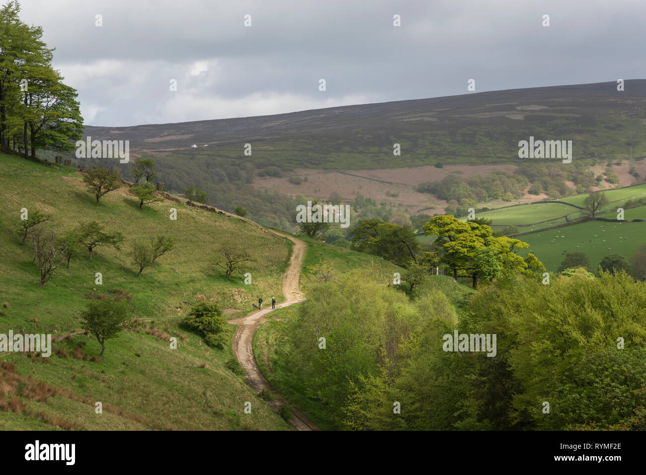 Couple walking on a path in the hills near Hayfield in the Peak District national park, Derbyshire, England. Stock Photo