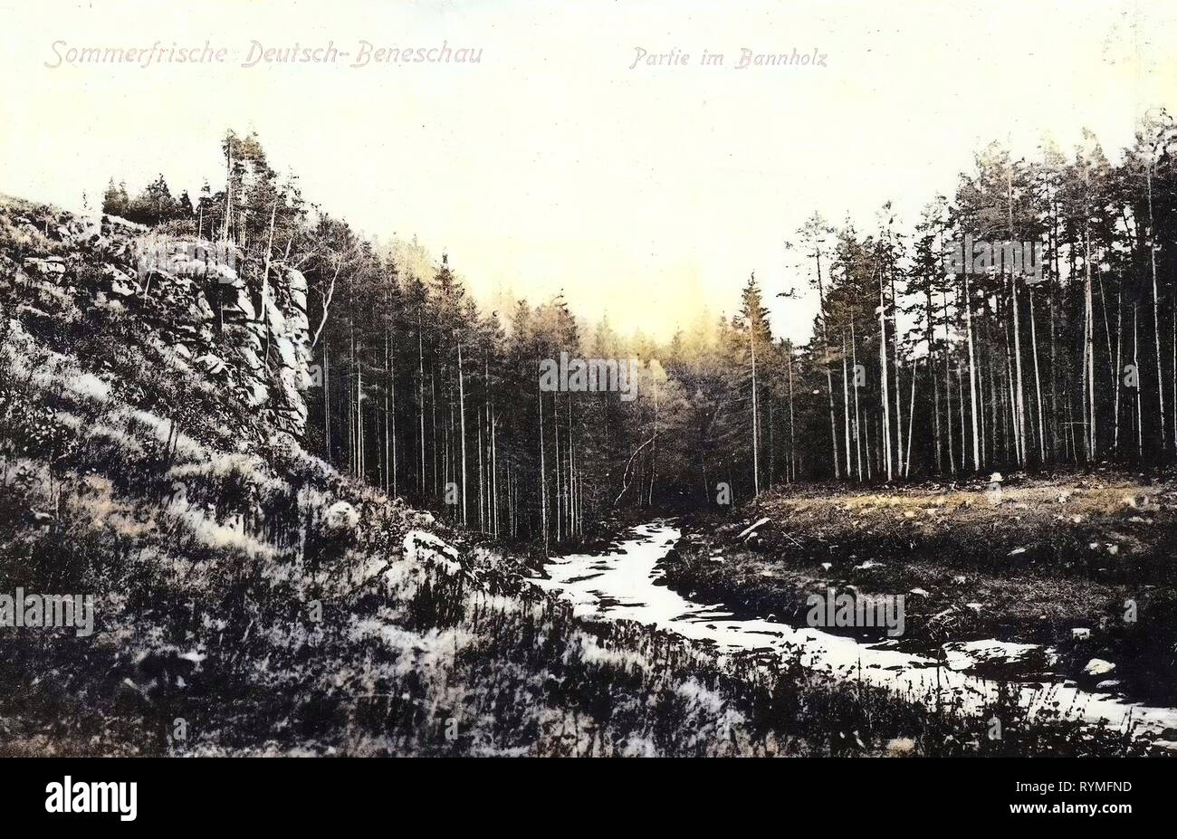 Forests in South Bohemian Region, Rocks in South Bohemian Region, Benešov nad Černou, 1907, South Bohemian Region, Beneschau, Im Bannholz Stock Photo
