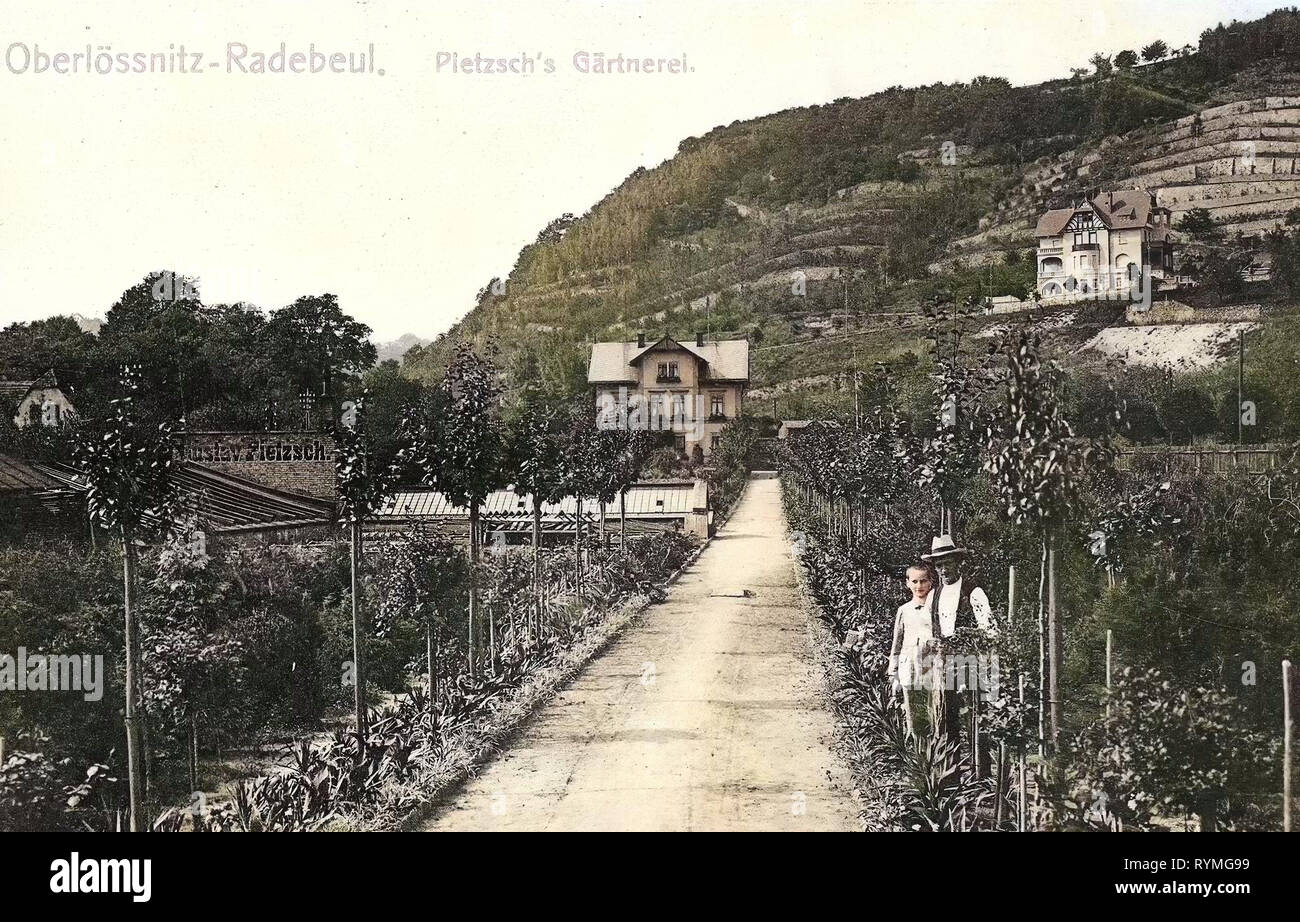 Horticulture, Buildings in Radebeul, Vineyards of Radebeul, 1907, Landkreis Meißen, Landhaus Carl Schampel, Radebeul, Pietzschs Gärtnerei, Germany Stock Photo