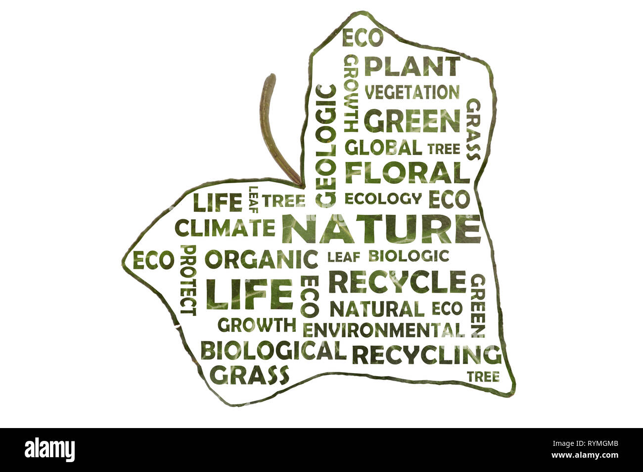 Word cloud about ecology in the form of an ivy leaf Stock Photo