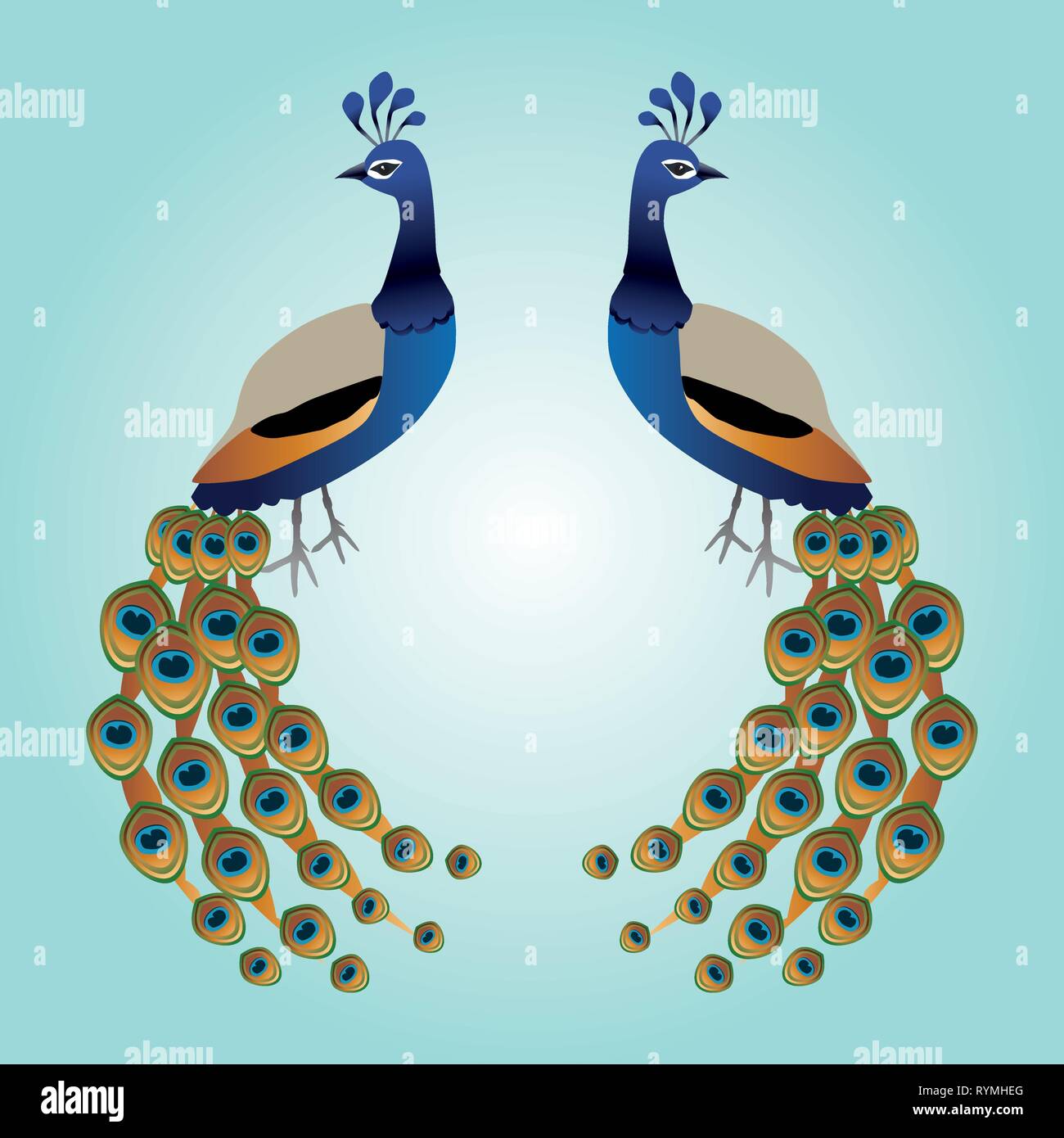 Two graceful male peacocks Stock Vector