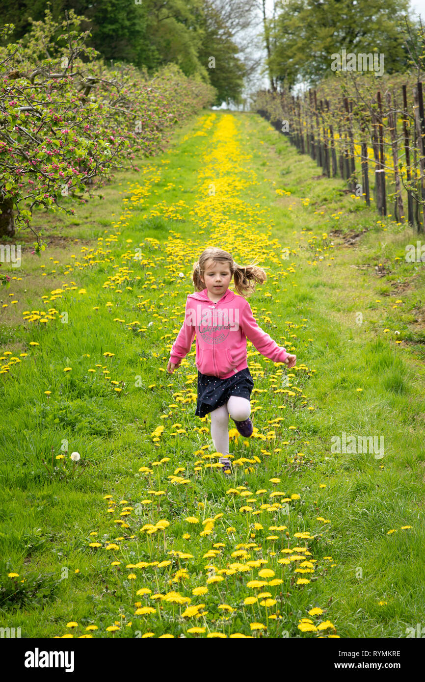 5-year-old-girl-running-through-dandelions-stock-photo-alamy