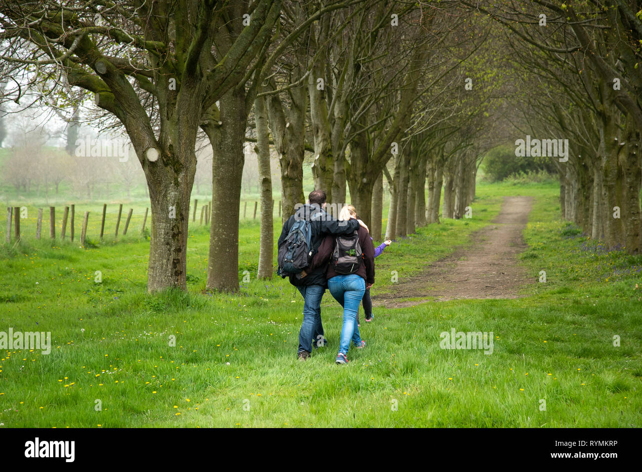 Couple walking through Lime tree Walk at Castle ward in County Down Stock Photo
