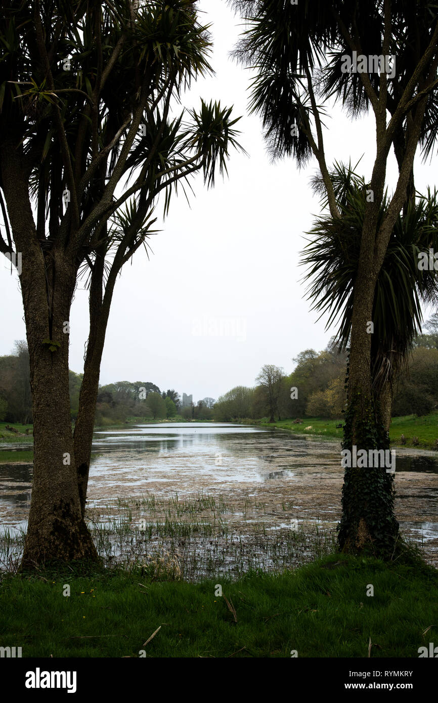 the Lake at Castleward, County Down Northern Ireland Stock Photo Alamy