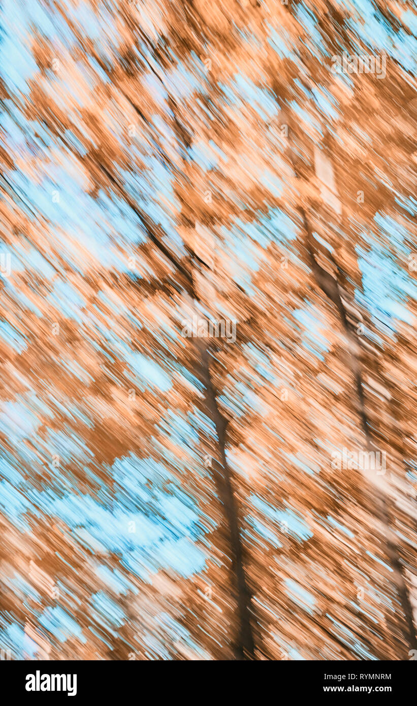 Abstract background made of motion blurred trees, color toning applied. Stock Photo