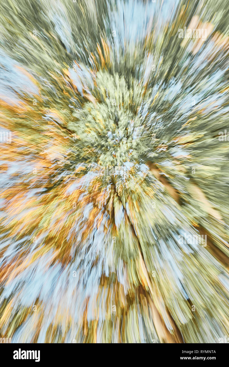 Abstract background made of motion blurred trees, color toning applied. Stock Photo