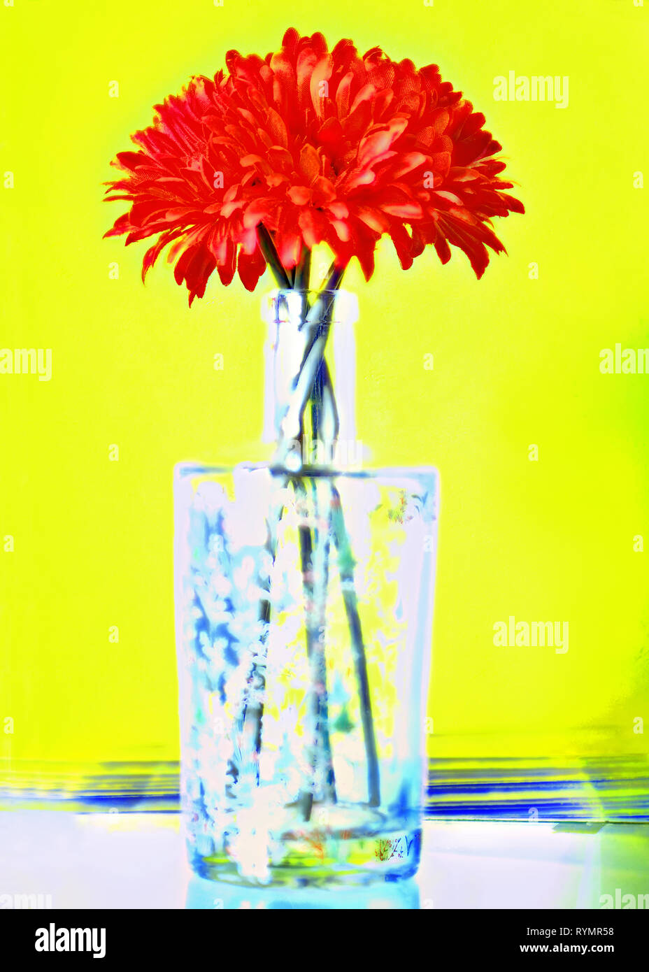 Single red flower in narrow necked bottle against yellow background Stock Photo