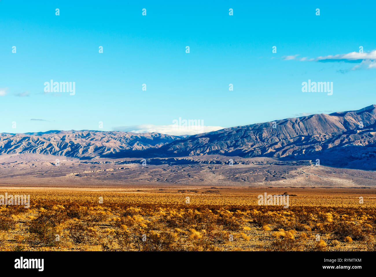 Golden desert bushes and barren mountains under a blue sky. Stock Photo